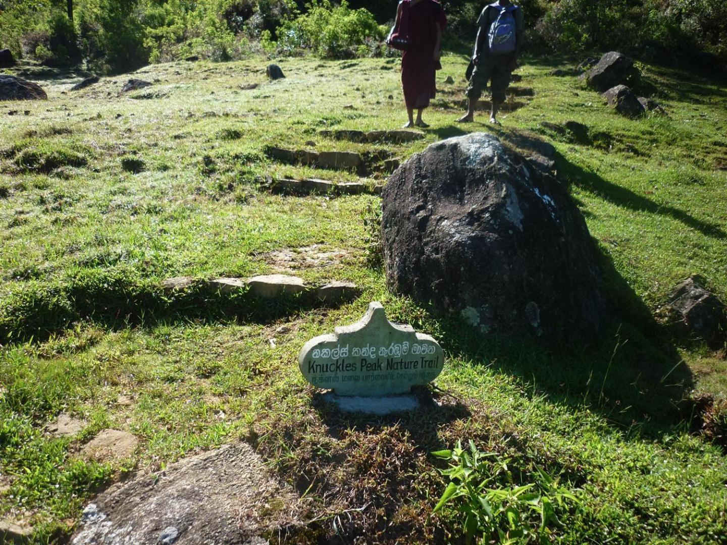 Rohana Estate Lodging & Camping Kandy Buitenkant foto