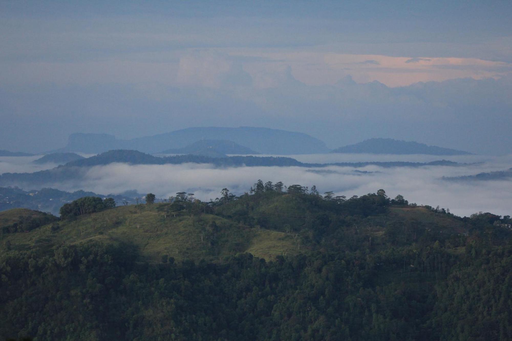 Rohana Estate Lodging & Camping Kandy Buitenkant foto
