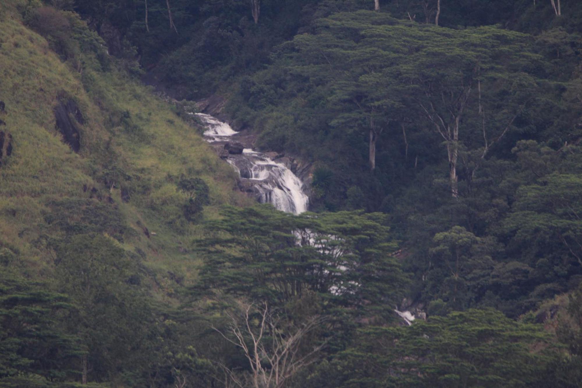 Rohana Estate Lodging & Camping Kandy Buitenkant foto