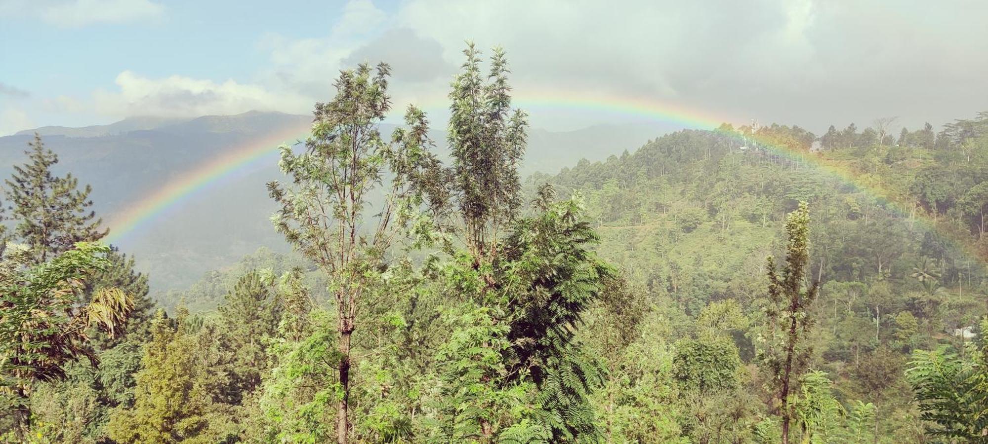Rohana Estate Lodging & Camping Kandy Buitenkant foto