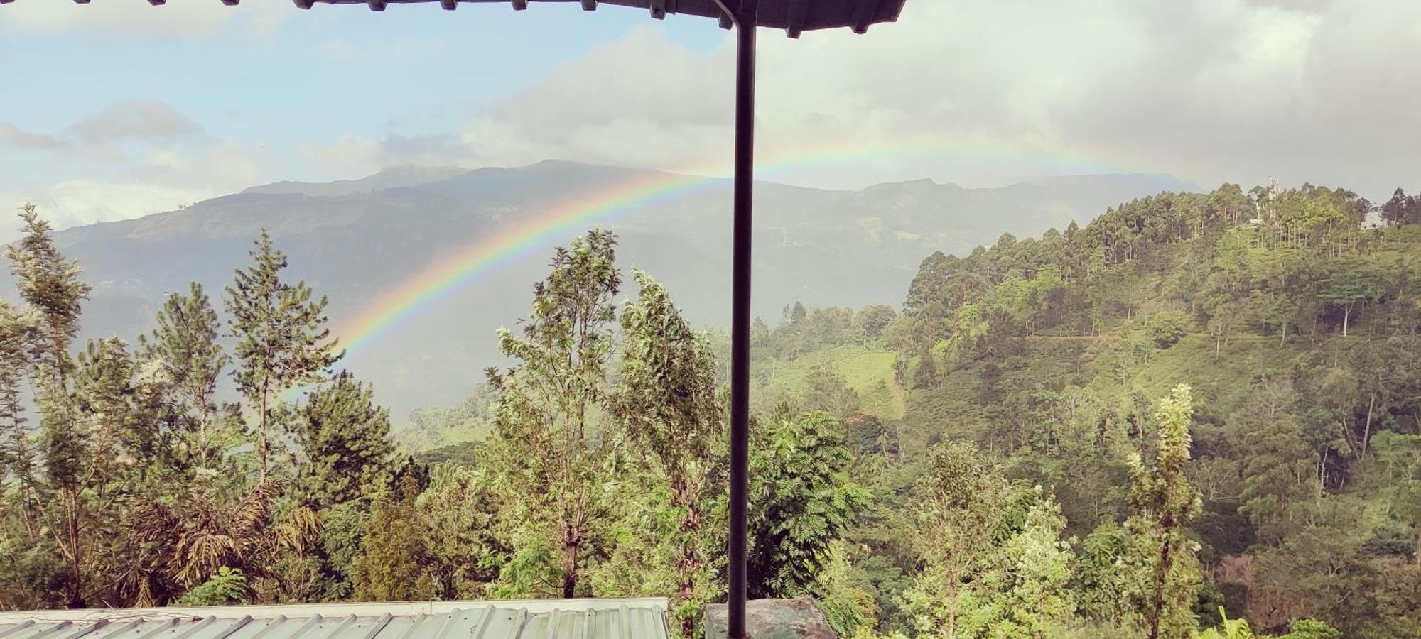 Rohana Estate Lodging & Camping Kandy Buitenkant foto